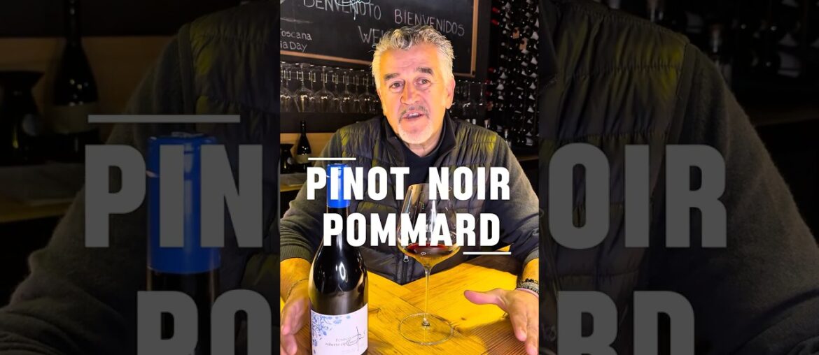 🇮🇹 🇺🇸Pinot Noir | Borgogna | Vino | Wine | Roberto Cipresso