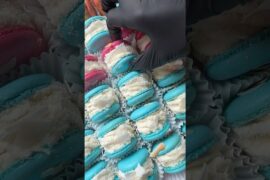 French Macaron ✨ Coconut Cream Texture