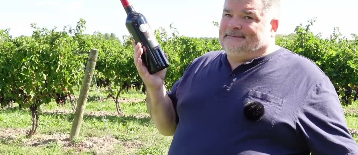 STARTLING Mouton Cadet 2022 Bordeaux Red (France)