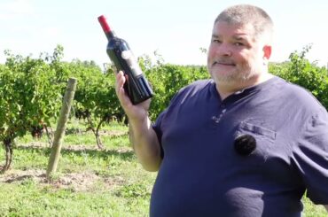 STARTLING Mouton Cadet 2022 Bordeaux Red (France)