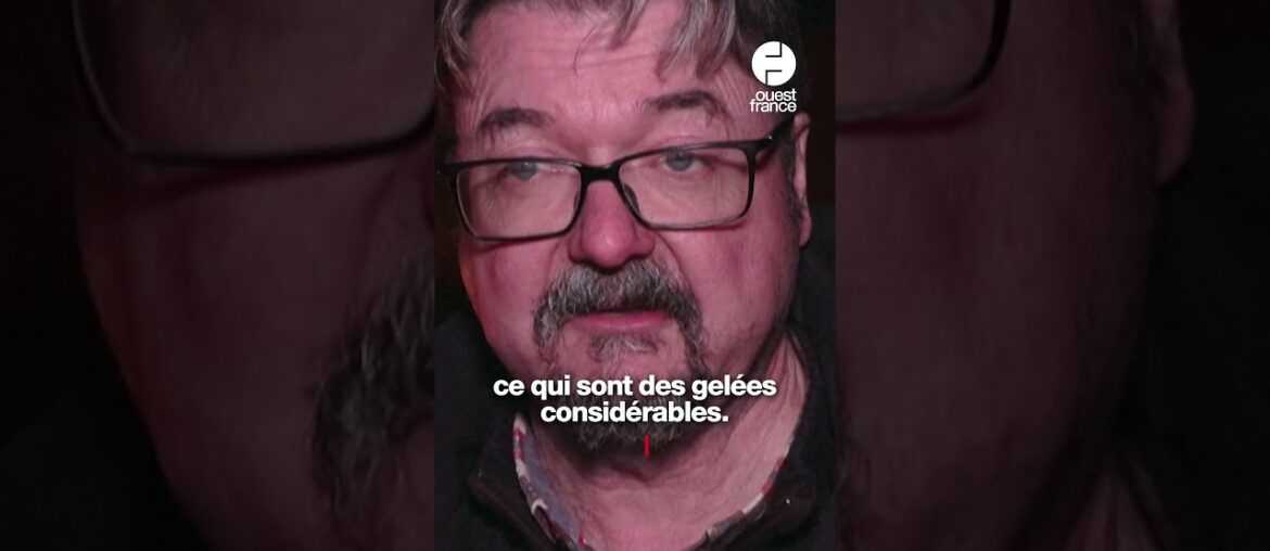 « Il faut sauver la récolte » : nuit de lutte contre le gel dans le vignoble de Chablis