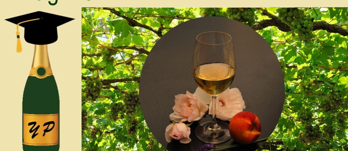 The Revival of Viognier