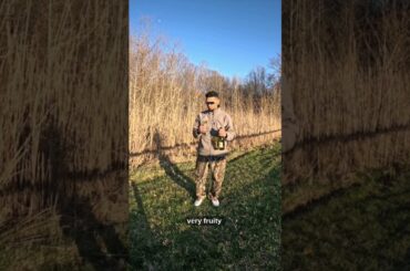 French white, super lively 🍷”