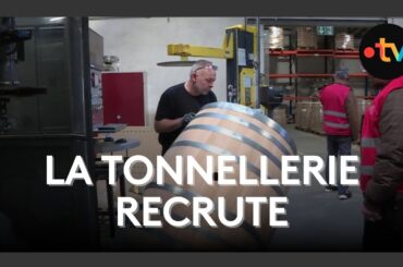 Formation tonnelier : un métier artisanal recherché malgré la crise des vins et spiritueux en France