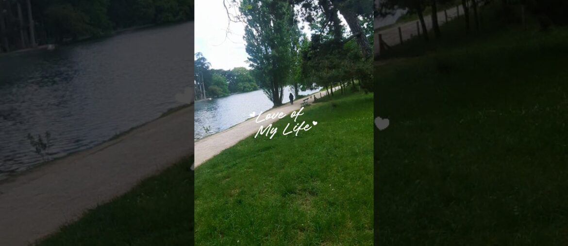 paris ♥️ #shorts #paris #france  #boisdeboulogne #views #fypシ