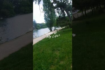 paris ♥️ #shorts #paris #france  #boisdeboulogne #views #fypシ