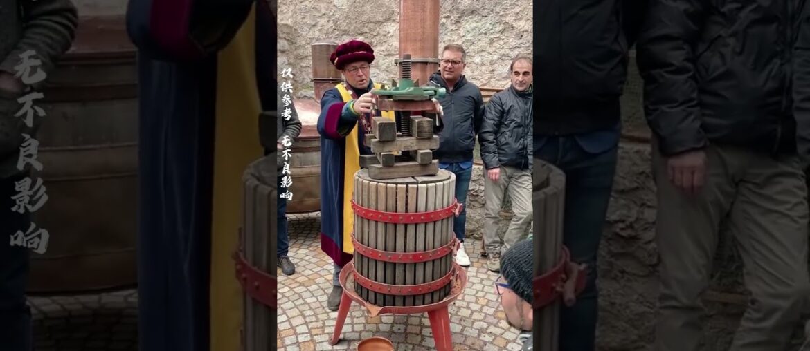 法国传统葡萄酒制作#有趣的知识 #科普