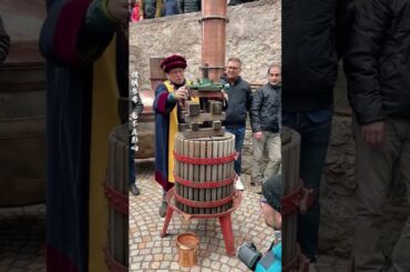 法国传统葡萄酒制作#有趣的知识 #科普