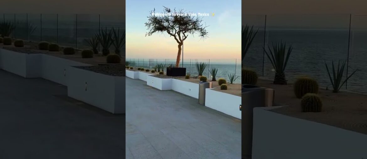 Walking into forever in Cabo | Shoreline Destinations Weddings