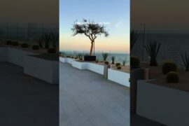 Walking into forever in Cabo | Shoreline Destinations Weddings