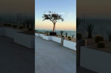 Walking into forever in Cabo | Shoreline Destinations Weddings