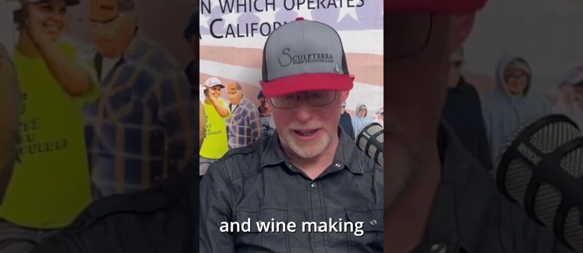 $30,000 Pinot Noir?! Here’s Why 🍷💸  #waterintowine #winetasting #podcast #winelover