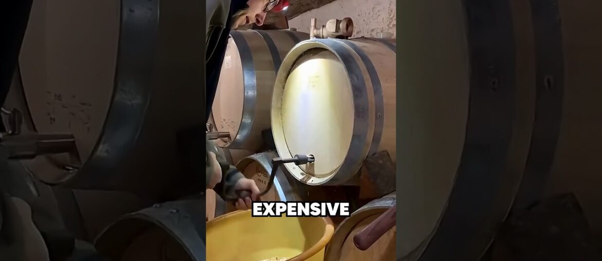 How the World’s Most Expensive Wine Barrels Are Made 🍷🤯 #WineMaking #LuxuryWine #HowItsMade