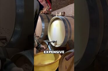 How the World’s Most Expensive Wine Barrels Are Made 🍷🤯 #WineMaking #LuxuryWine #HowItsMade
