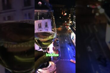 View of Paris from above, as night falls #france #travel Iris & Rex Blog