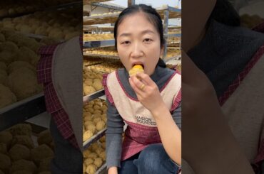 #五香成 egg#Handmade gourmet food#Henan Soft-boiled Eggs#QualityAgricultural Products #qualityagricu