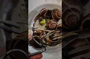 Париж 🇫🇷🐌 Пробуем эскарго — улитки в чесночном соусе с маслом и зеленью, классика французской кухни