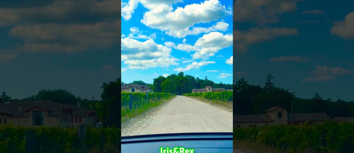 Driver Perspective : Driving Log of wine region Margaux in Bordeaux #travel #france Iris & Rex Blog Driver Perspective : Driving Log of wine region Margaux in Bordeaux #travel #france Iris & Rex Blog