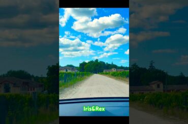Driver Perspective : Driving Log of wine region Margaux in Bordeaux #travel #france Iris & Rex Blog