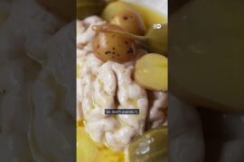 Calf’s brain – gross or gourmet?