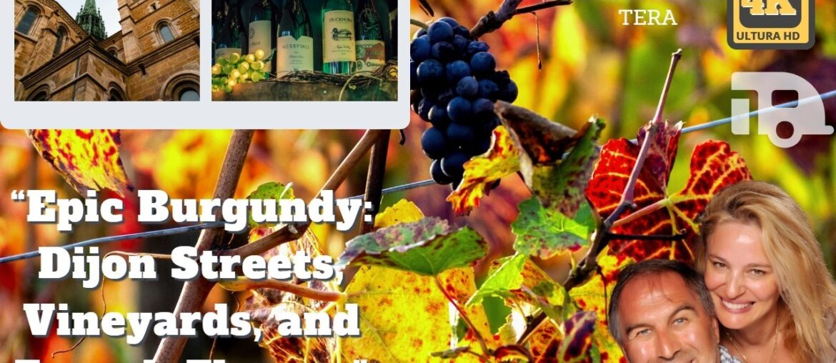 Epic Burgundy: Dijon Streets, Vineyards, and French Flavors by Diyar Diyar TERA