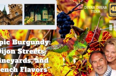 Epic Burgundy: Dijon Streets, Vineyards, and French Flavors by Diyar Diyar TERA