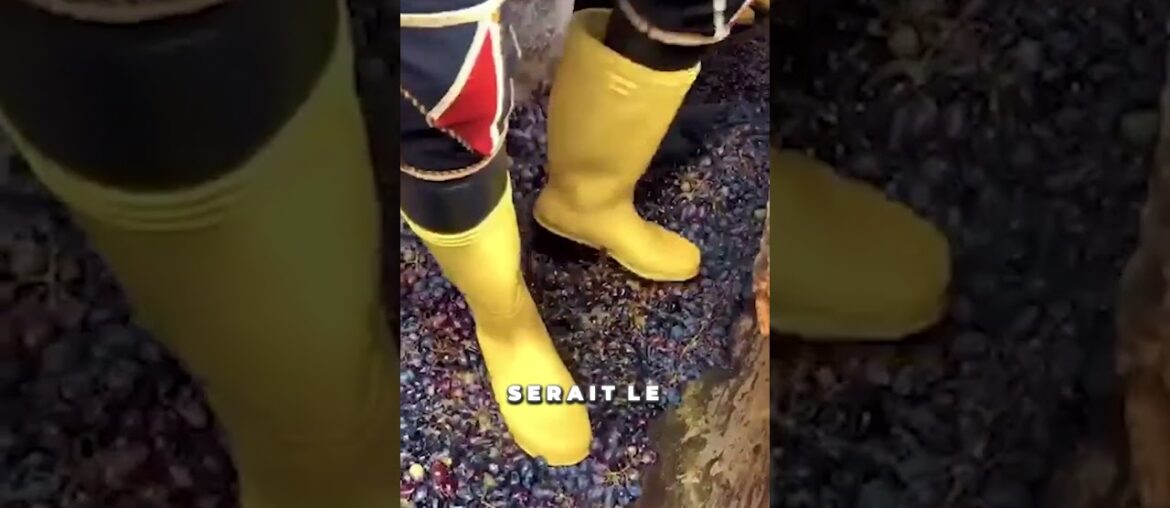 Le secret du vin français !😳