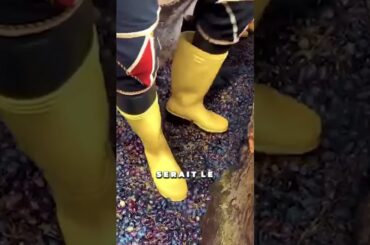 Le secret du vin français !😳