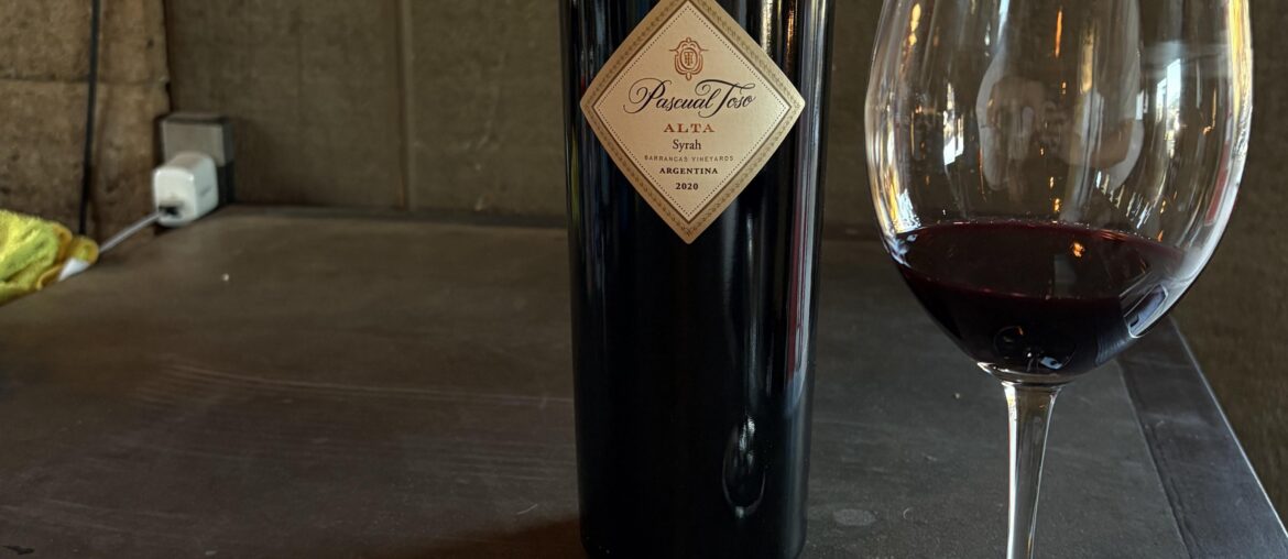 Pascual Toso 2020 Alta Syrah