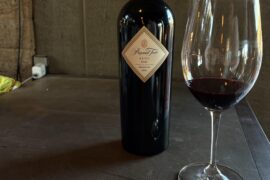 Pascual Toso 2020 Alta Syrah