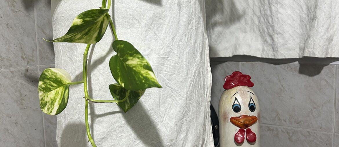 No me digan que no es muy hermosa!!