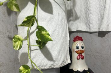 No me digan que no es muy hermosa!!