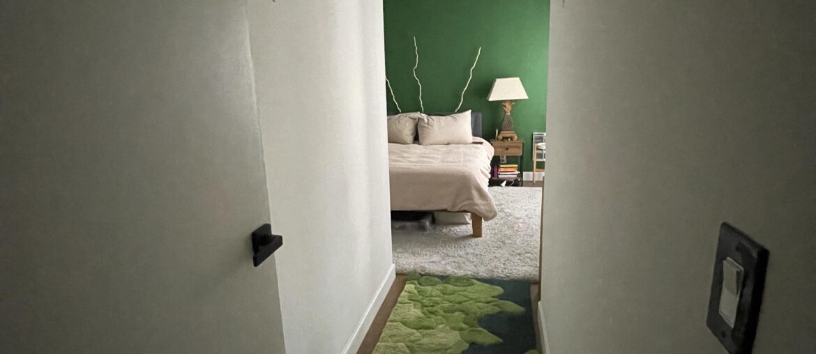 Decorating suggestions for my hallway?