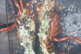 Langouste grillée au BBQ et noix de coco
