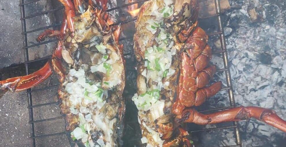 Langouste grillée au BBQ et noix de coco