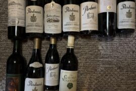 Are any of these good?