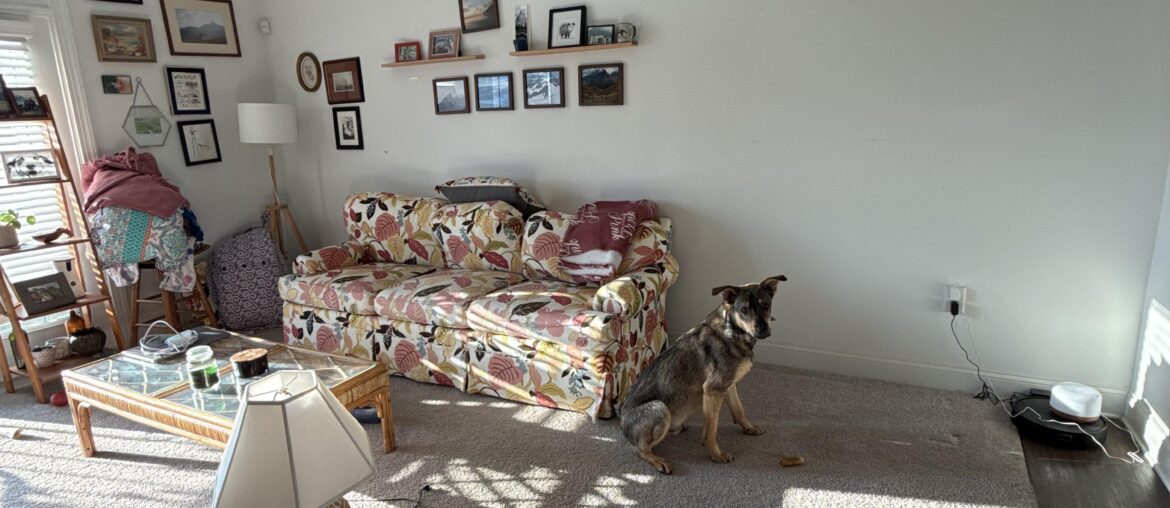 Help me with the space