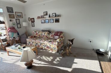 Help me with the space