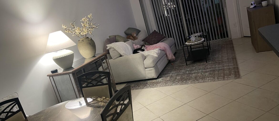 How can I divide my living room?