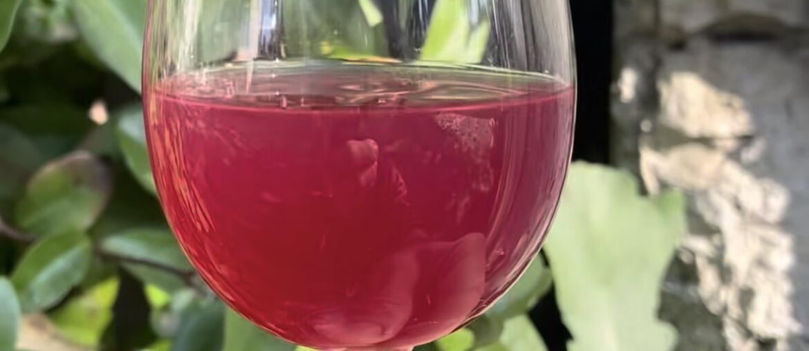 Can anyone ID this tasting glass?