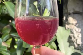 Can anyone ID this tasting glass?