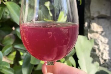 Can anyone ID this tasting glass?