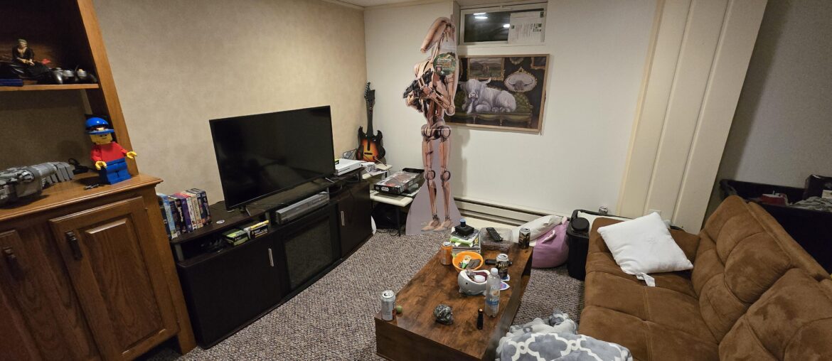 Basement color ideas!