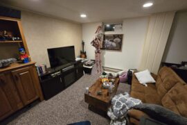 Basement color ideas!