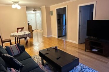 Looking on suggestions for couch placement