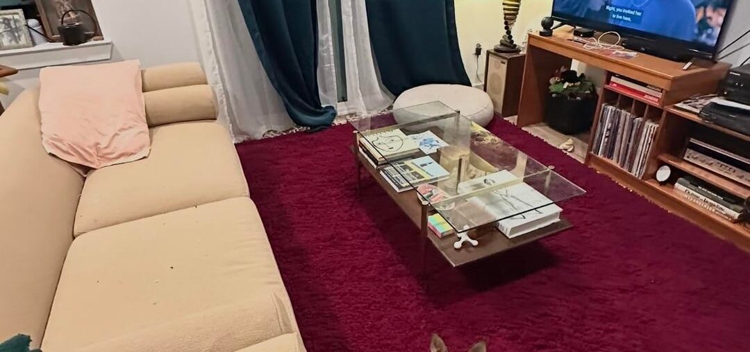 What color curtains to match rug and couch?