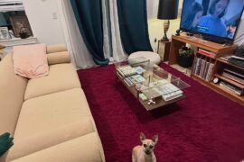 What color curtains to match rug and couch?