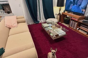 What color curtains to match rug and couch?