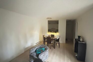 How would you decorate this living room? It feels empty