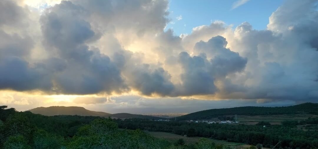 Guess the wine region